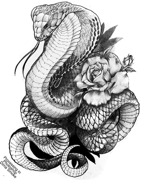 125+ Snake Tattoo Ideas That Are Perfect